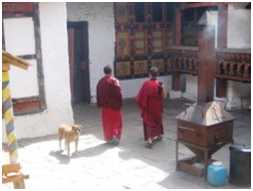 Bhutan Kultur Tour: 8 Nchte / 9 Tage